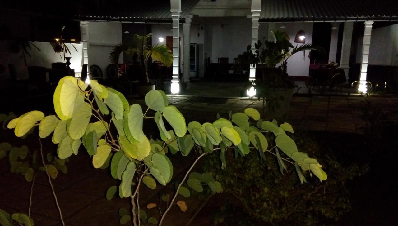 Cacao Otel Katunayaka Dış mekan fotoğraf