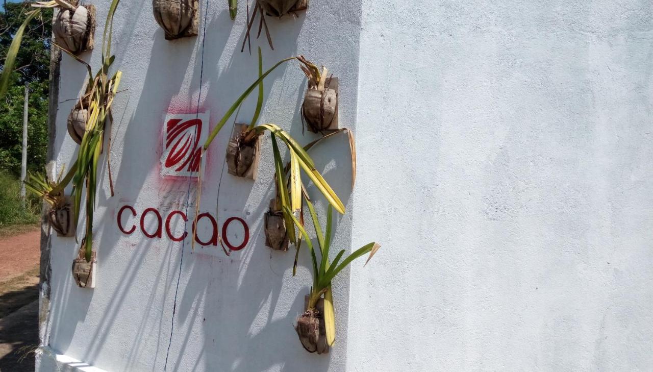 Cacao Otel Katunayaka Dış mekan fotoğraf